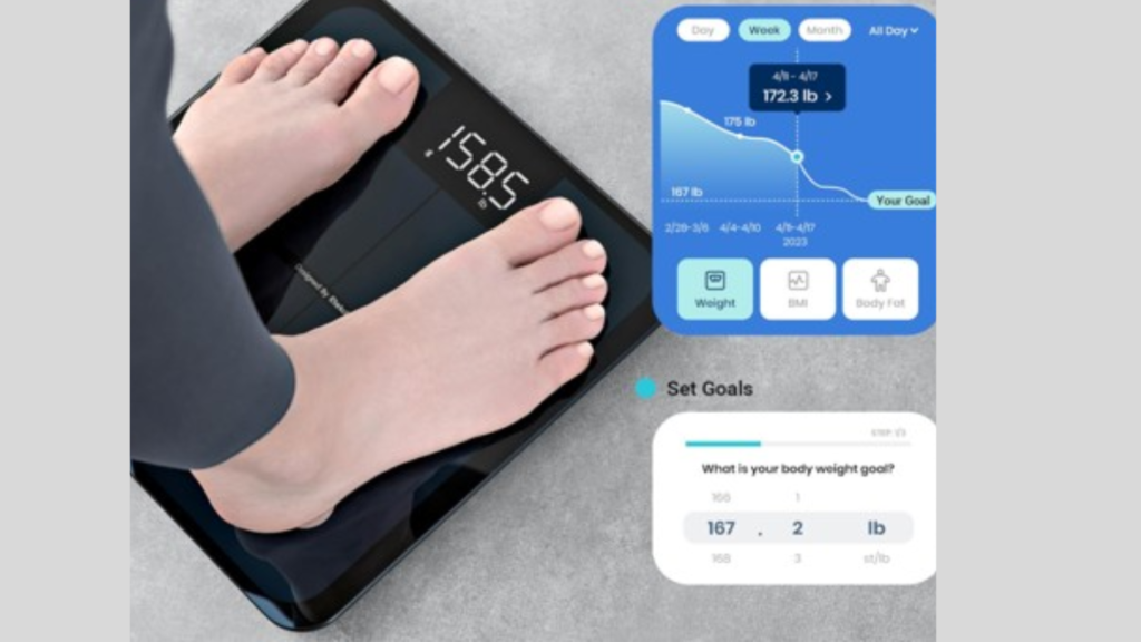 Best Etekcity Smart Scale 2025 – Accurate Digital Body Weight & Health Tracker